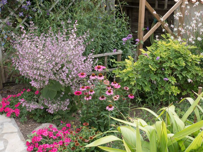 Die Besitzerin, die seit 35 Jahren Ikebana (japanische Blumenkunst) unterrichtet, hat ihren kleinen Stadtgarten entworfen, der vor allem von den besuchten Gärten, den Naturlandschaften inspiriert ist,