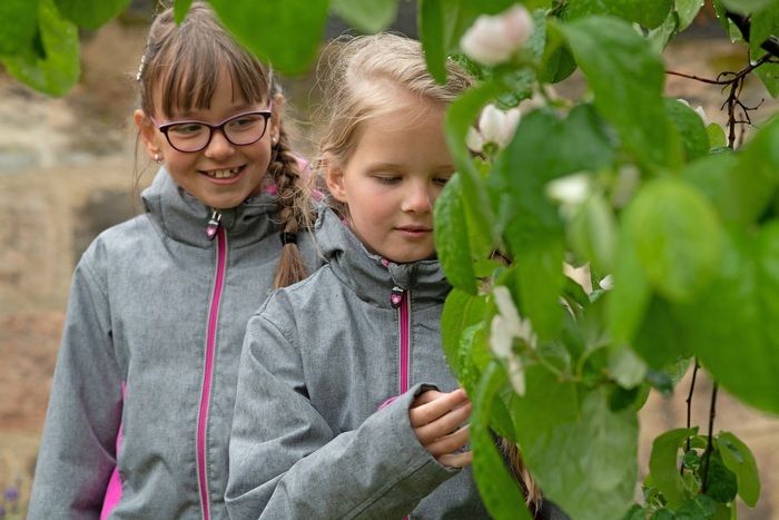 Aufgrund der Unwetterwarnungen abgesagt - Entdecken Sie bei der Sonderführung „Es grünt so grün“ die botanischen Inspirationen des heutigen Welterbes.