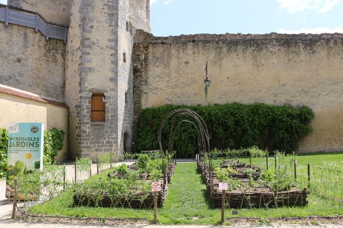 Im Hof des Schlosses findet nun ein mittelalterlich inspirierter Garten statt. Aber was ist ein mittelalterlich inspirierter Garten? Entdecken Sie die Entstehung und Entwicklung von Gärten...