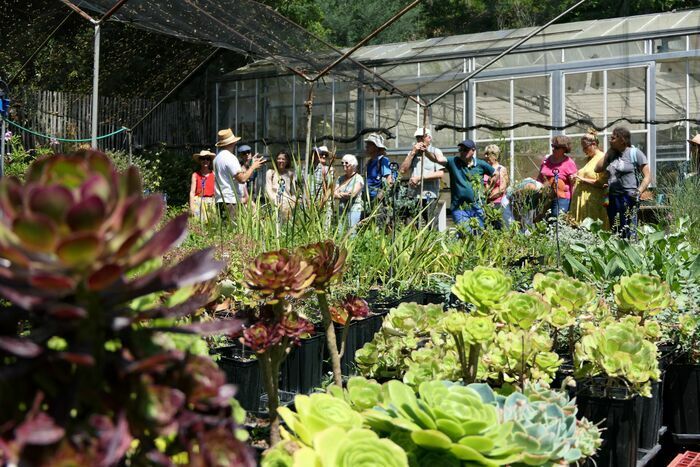 Besuchen Sie die "Backstage" des Mittelmeergartens, um zu erfahren, wie der Garten gepflegt wird, sowie Bereiche, die normalerweise für Gärtner reserviert sind, wie die technische Zone.