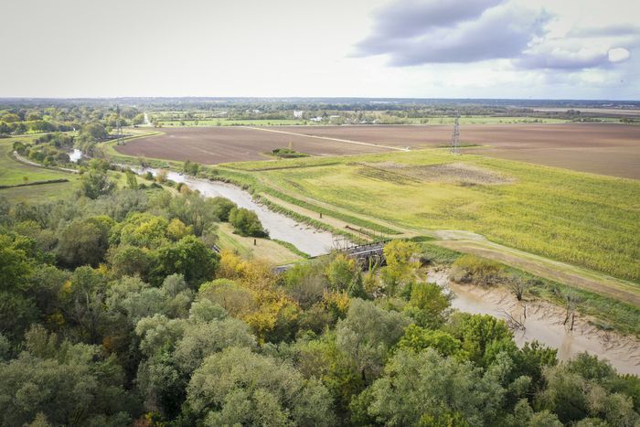 Parc des Jalles - Sortie Les secrets de l’eau de la Jalle animée par Terre et Océan