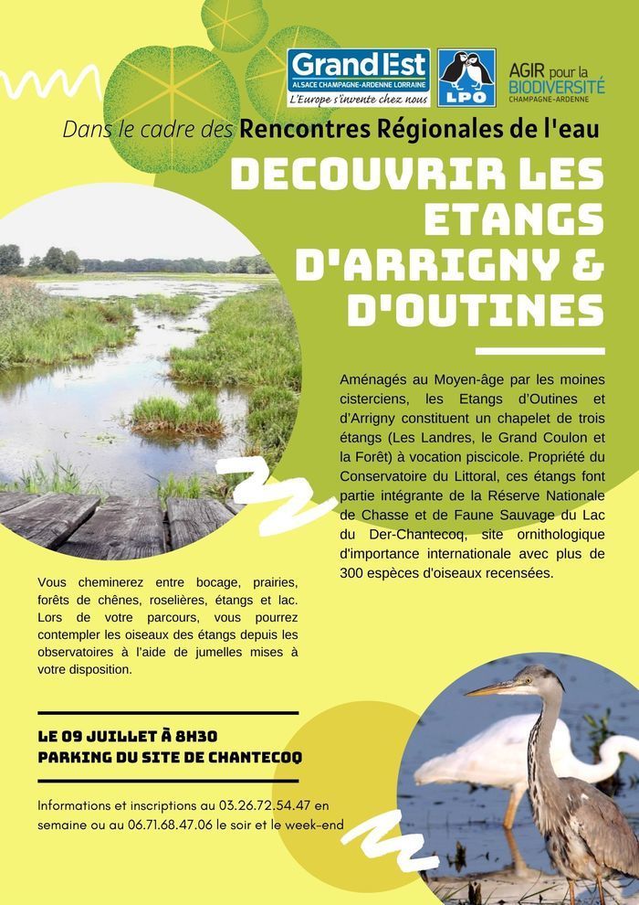 A l'occasion des Rencontres régionales de l'Eau, la LPO Champagne-Ardenne organise une sortie le 9 juillet pour découvrir le site des Etangs d'Outines et d'Arrigny, à proximité directe du lac du Der.