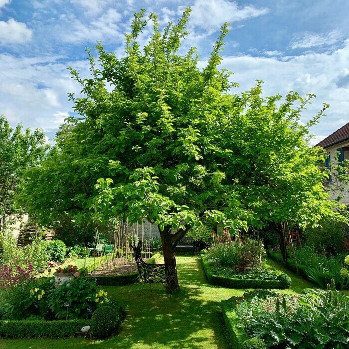 Auf Reservierung wird der Garten der Zitadelle für Schüler geöffnet sein. Es wird ein Besuch des Gartens sowie Animationen rund um die 5 Sinne im Garten angeboten.