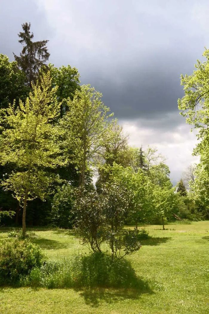 Kommentierte Besichtigungen zu festen Zeiten (siehe Zeitplan) durch den Schöpfer des Gartens (beleuchteter Liebhaber der Bäume und Waldprofi).