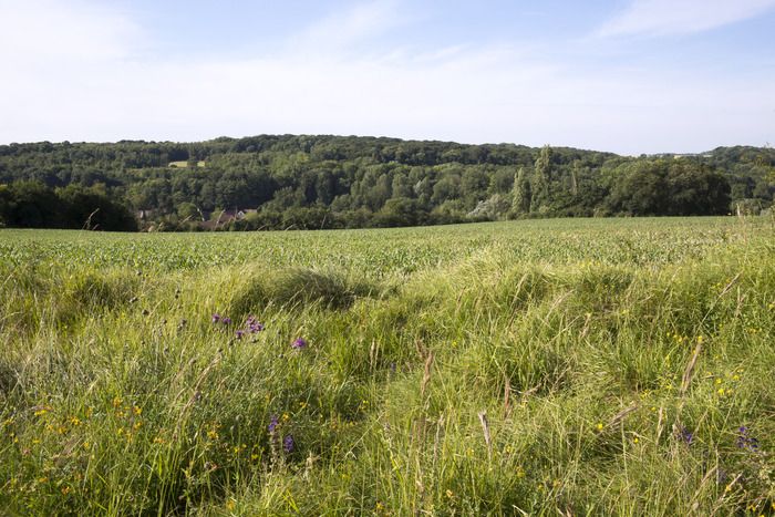 Entre la grande culture sur le plateau et les prairies de fond de vallée, c’est tout un étagement de végétations que l’on peut découvrir, héritage de l’histoire agricole du territoire. Dans le cadre …