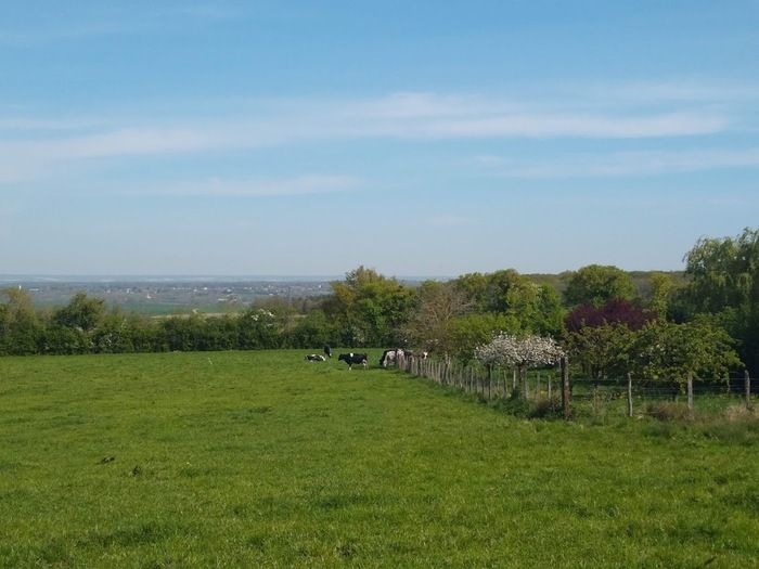 Anlässlich des Gartentreffens können Sie diese Naturlandschaft mit herrlichem Blick auf das Tal des Armançon und den Othe-Wald bewundern.