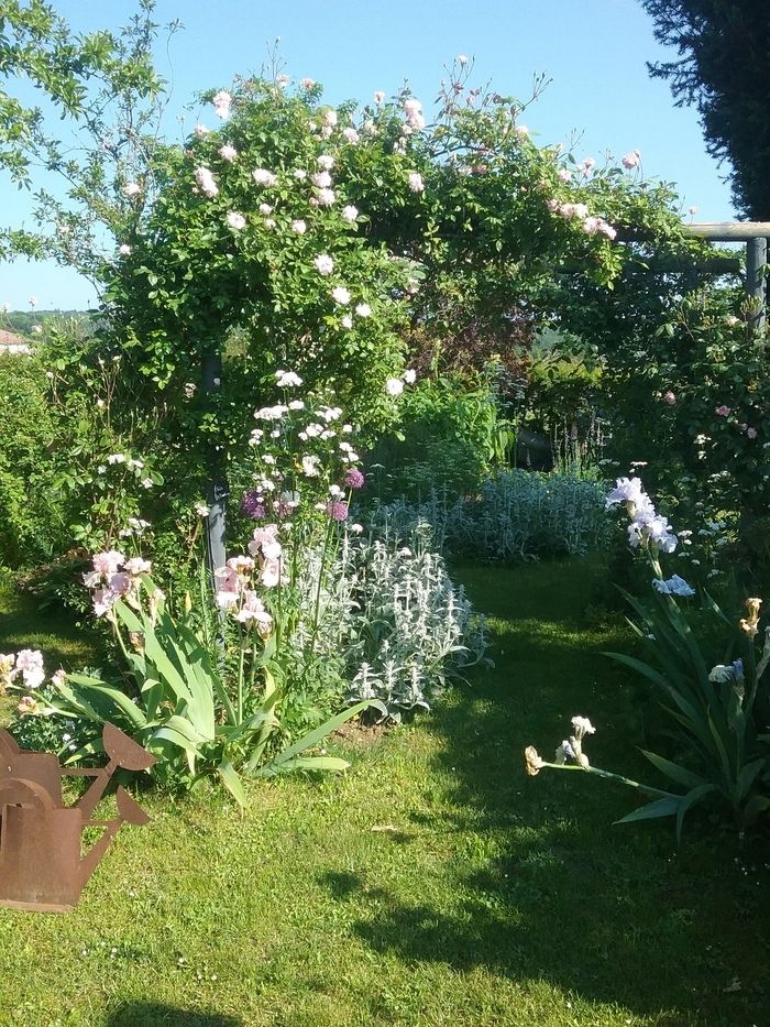 Am Rande des Morvan, in einem hübschen Dorf mit einem Schloss, entdecken Sie einen kleinen englischen Garten von 1.000 m² mit Rändern, die aus zahlreichen Stauden, alten Rosen und einem...