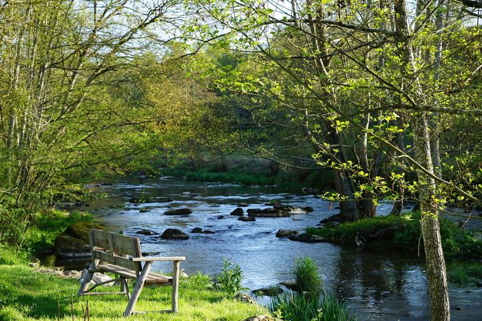 Während Sie durch den Park mit sieben Gärten spazieren, zu denen 2024 eine der schönsten Efeu-Sammlungen Europas hinzukommt, nehmen Sie am Spiel der 5 Sinne teil und gewinnen Sie eine Pflanze, die in.