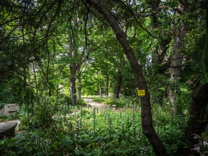 Im Zusammenhang mit dem Workshop "Parfum en herbe", den Gassen des Gartens und den Sinnen, kommen Sie zu den mediterranen Pflanzen, um ihre Anpassung an das Klima und vor allem ihre...