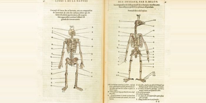 Rencontre avec le médecin et anthropologue Alain Froment.
    
    ---