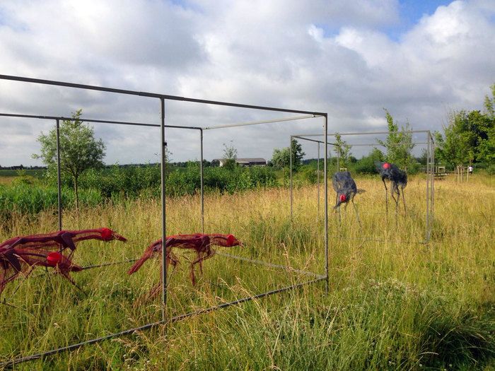 Plaine Agricole Des Périseaux