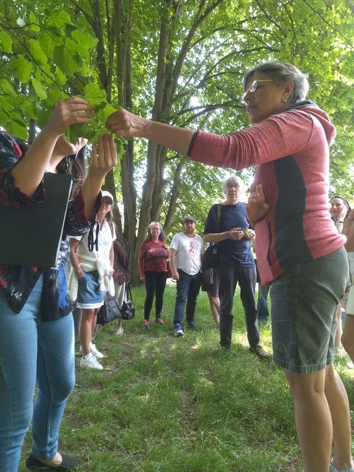 Entdecken Sie die Naturräume, die heute umgeben sind und einst die Besitztümer des Schlosses bildeten, um diese verschiedenen Räume zu erkunden und zwischen Historic...