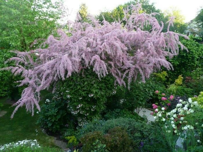 Der Garten BLEUENN steht für uns für den Austausch, den Austausch und das Zuhören mit unseren Besuchern. Schauen wir uns diese schöne Natur an, die uns umgibt und uns zur Gelassenheit führt. Ein gemei