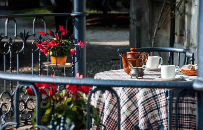 Tea tasting in the park of Villa Zari