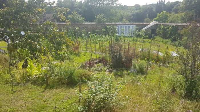 Für diese 21\. Ausgabe von Rendez-vous aux jardins entdecken Sie diesen gemeinsamen Garten in Saint-Sauveur-en-Puisaye.