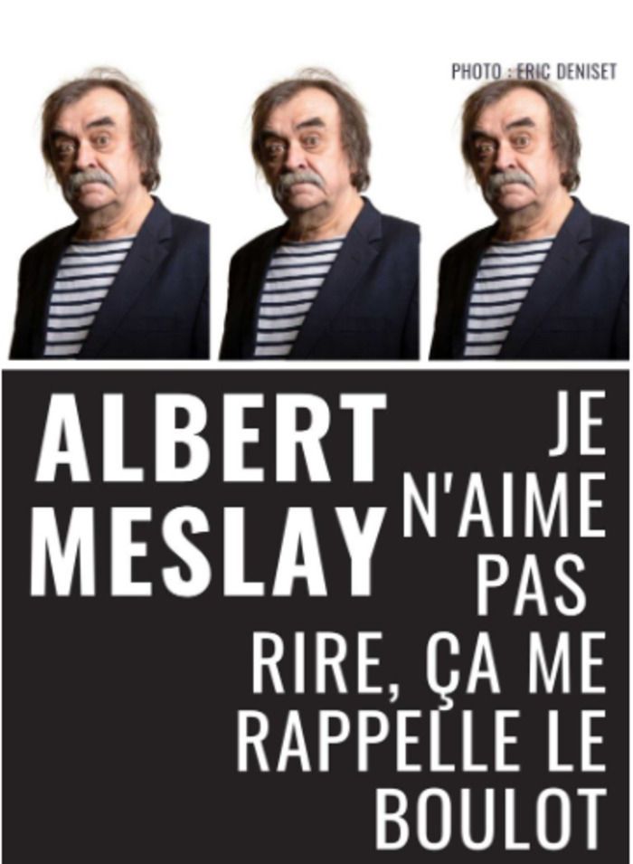 Albert Meslay. Artiste du verbe, as de la formule qui tombe juste, intarissable quand il s’agit de venir au secours de la planète menacée par le réchauffement climatique et le dérèglement financier.