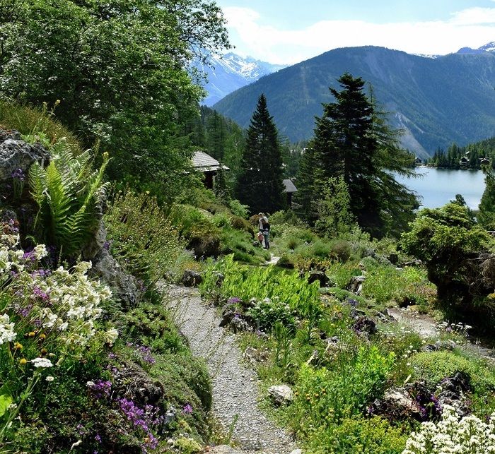 Nutzen Sie die Termine in den Gärten, um mehr als viertausend Pflanzenarten auf mehr als 6000 m2 zu entdecken, von den Arten der lokalen Flora, der umliegenden Regionen bis zu den Bergmassiven...