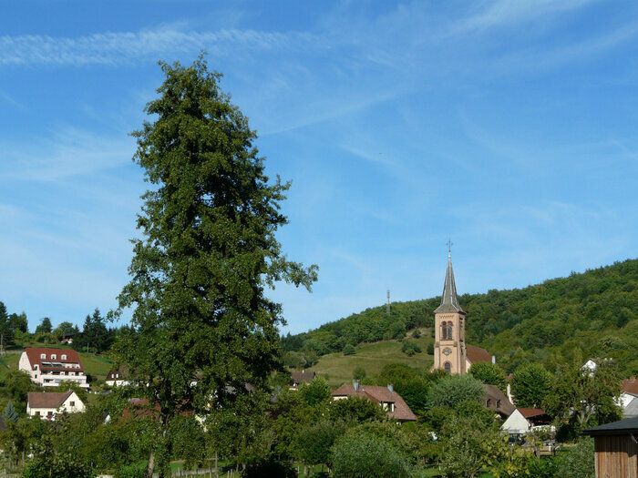 Der zentrale Raum des Dorfes Soultzbach ist noch kein Platz, sondern ein vernachlässigter. Sie erfüllt bereits verschiedene Funktionsniveaus für die Bevölkerung und die Wanderer, die sie durchqueren..