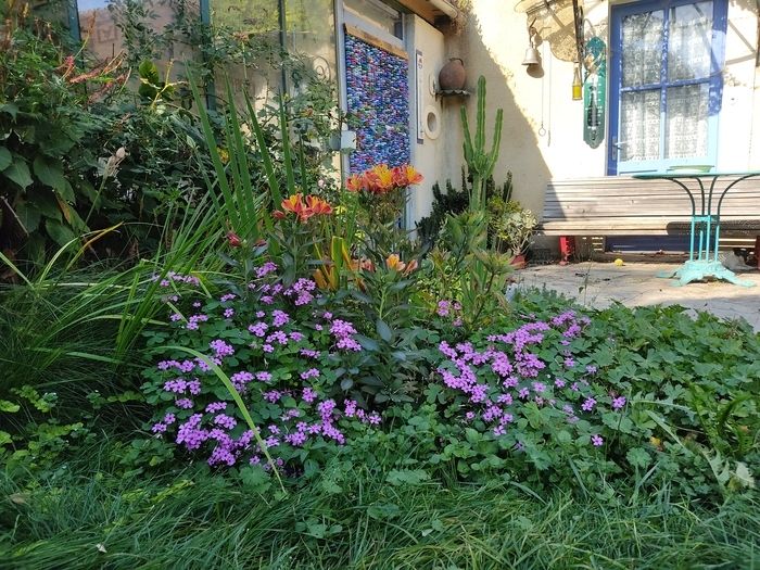 Anlässlich des Rendez-vous aux jardins 2024 entdecken Sie diesen Vergnügungsgarten mit einer Sammlung von Kakteen, einem Gemüsegarten, einem Obstgarten und einem Hinterhof.