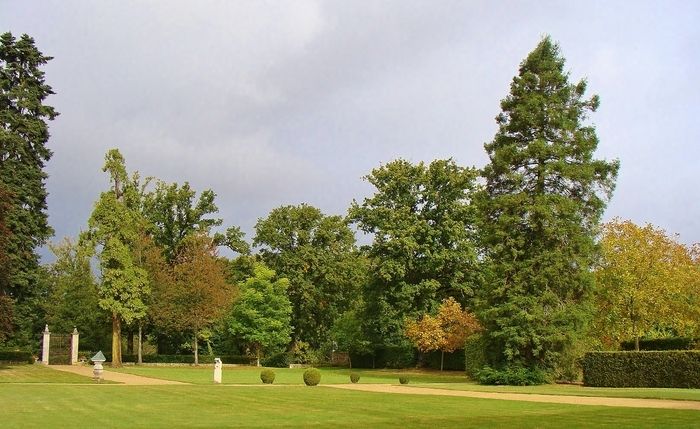 Geführte Tour durch den Schlosspark, umgeben von Wiesen und Wäldern.