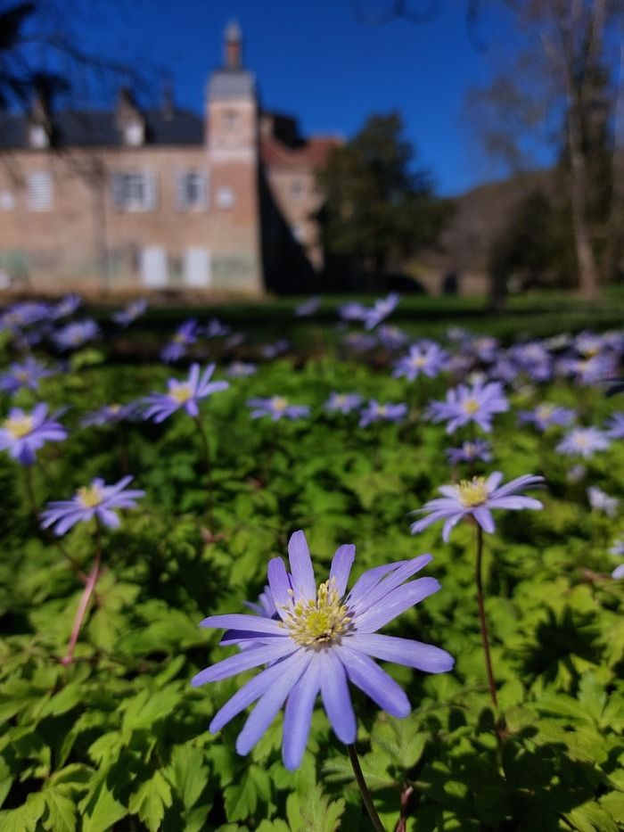 Nutzen Sie diese neue Ausgabe von Rendez-vous aux jardins, um die Gärten der Abtei frei zu entdecken.