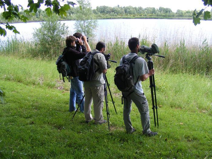 BALADE / Découvrir la richesse ornithologique du parc des Beaumonts ou la faune et la flore sauvages sont protégées