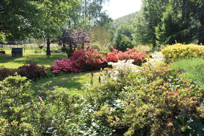 Besuchen Sie den Garten Saint-Nicolas am Fuße der Vogesen im Tal Saint-Nicolas. Sie wandern durch einen bewaldeten Park, der von...