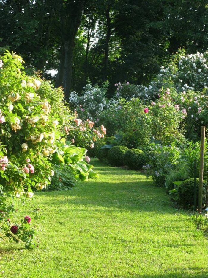 Der Parc de la Belle Allemand ist ein Garten, der in einer Lichtung auf dem Hügel Croix-Rousse auf zwei langen Terrassen angelegt ist, die den Mäandern der Saône folgen, die man zwischen...