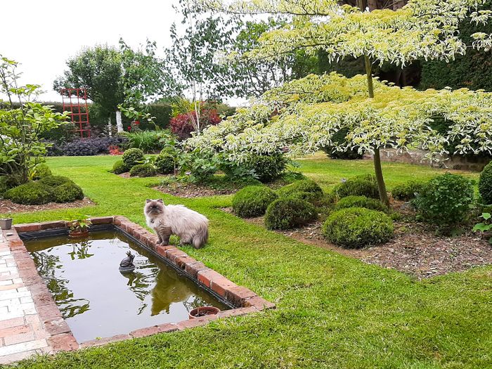 Der Garten feiert sein 10-jähriges Bestehen und obwohl er noch jung für einen Garten ist, freut er sich immer noch über seine Besitzer, die ihn gerne mit seinen Besuchern teilen!