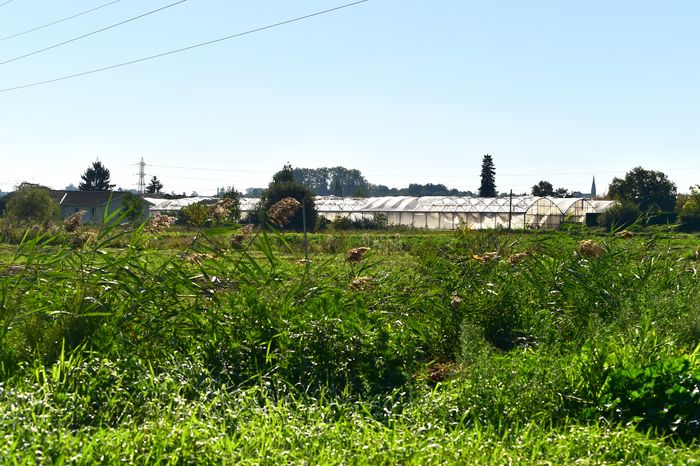 Parc des Jalles - Atelier Découverte du maraîchage avec Les légumes de Jalles Pont et Le miel de mon petit rucher animé par Ecoacteurs en Médoc