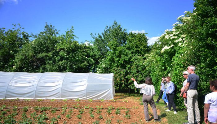 Auf 2.400 m² besteht dieser idyllische und produktive Garten aus zwei Tunnelgewächshäusern, die von hohen Hecken umgeben sind. Die kommentierte Tour findet am Rande des Obstgartens und der neuen Walnu