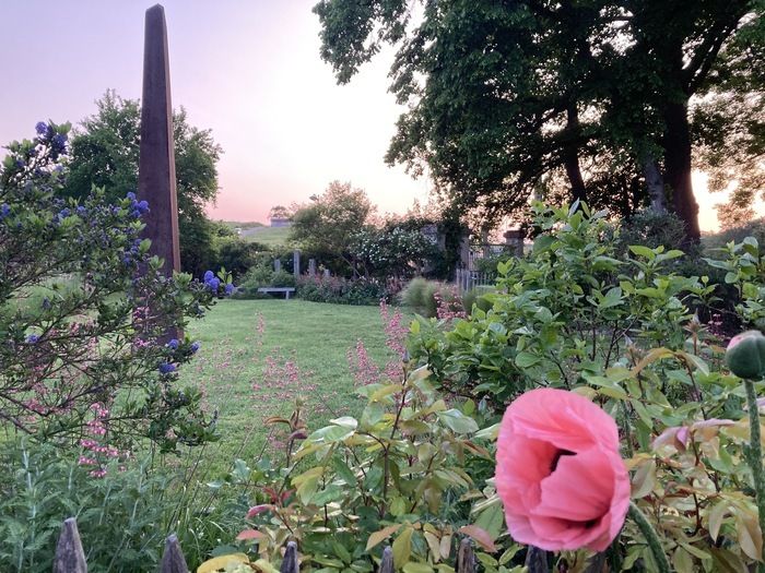 Seit fünf Jahren begrüßen die Besitzer dieses Anwesens aus dem 16\. Jahrhundert Gäste und Liebhaber der Gärten in einer grünen Umgebung mit dem Label «Bemerkenswerter Garten». Genießen Sie die frische