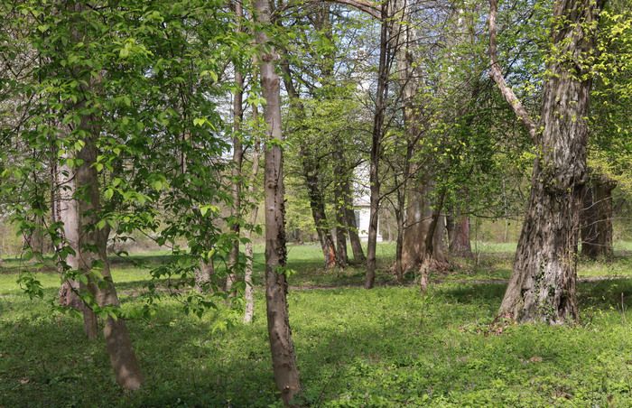 Aki szeretne megismerkedni a környezetében élő növényekkel és állatokkal, annak szüksége lehet valamennyi érzékszervére. Ritkán van arra lehetőség, hogy egyidejűleg láthatjuk, hallhatjuk, szagolhatju…