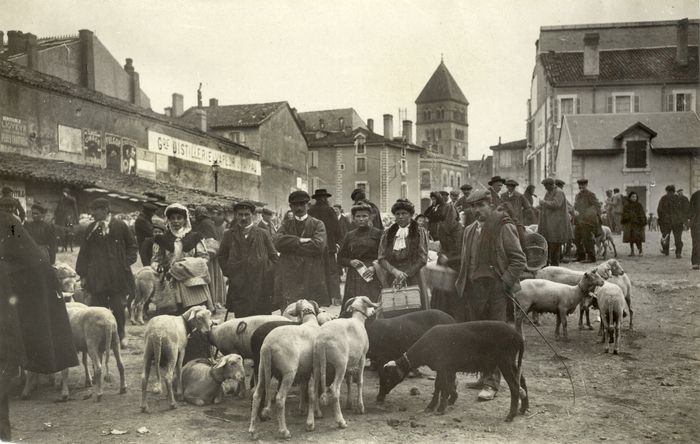 Embarquez pour un voyage photographique à la (re)découverte des villages du Comminges au début du XXe siècle à travers la collection de photos et cartes postales des frères Labouche.