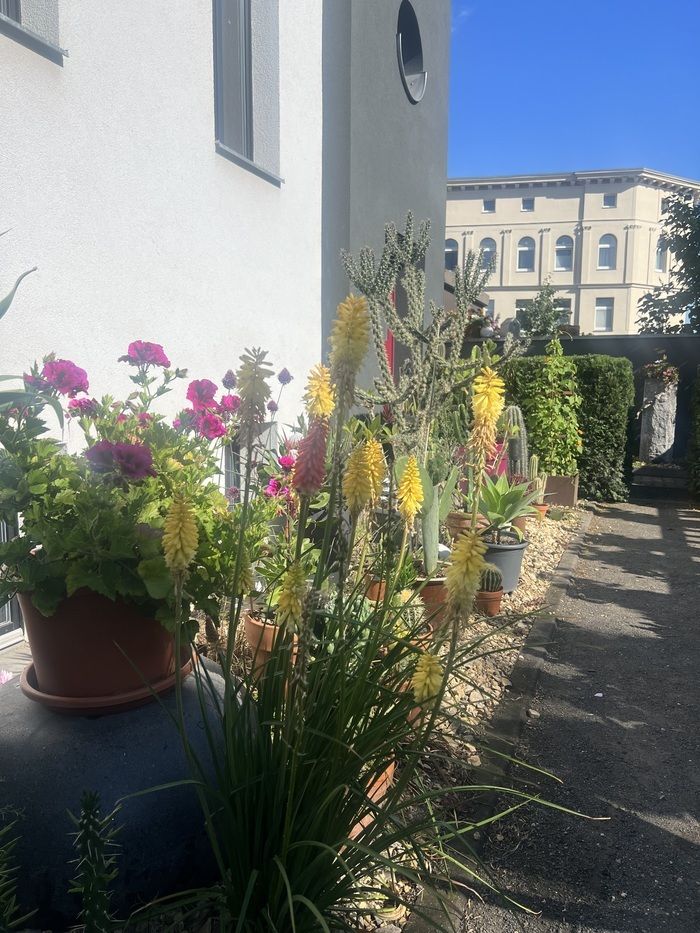 Der Hausgarten ist einer von vielen Stadtgärten in Halle, die an diesem Tag ihre Türen öffnen. Die Vielfalt von Gartengestaltungen gibt es zu entdecken.