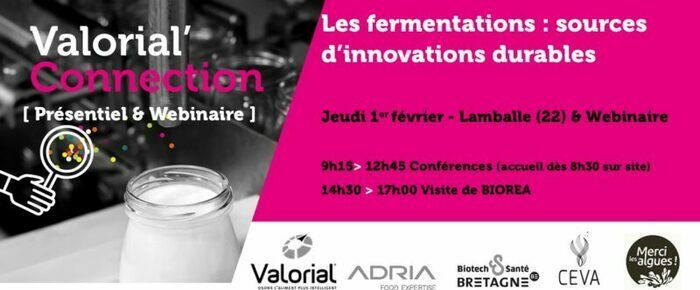 Les fermentations, sources d’innovations durables