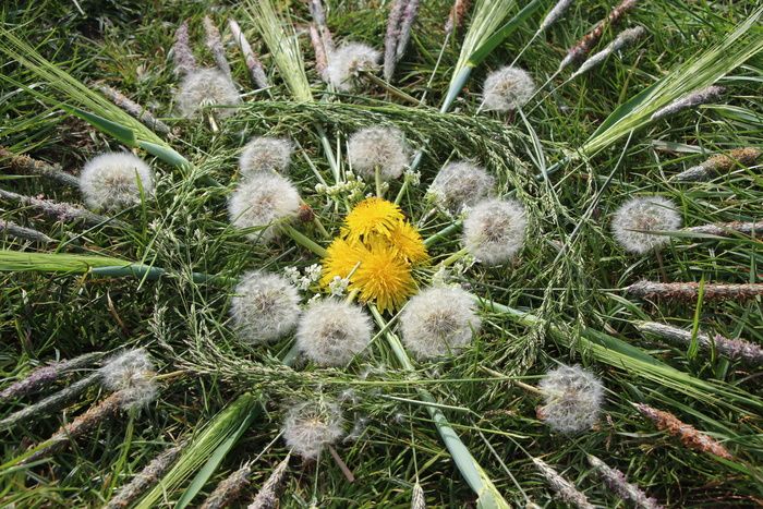 ATELIER / Découvrez les trésors cachés dans la nature et réalisez une oeuvre à contempler.