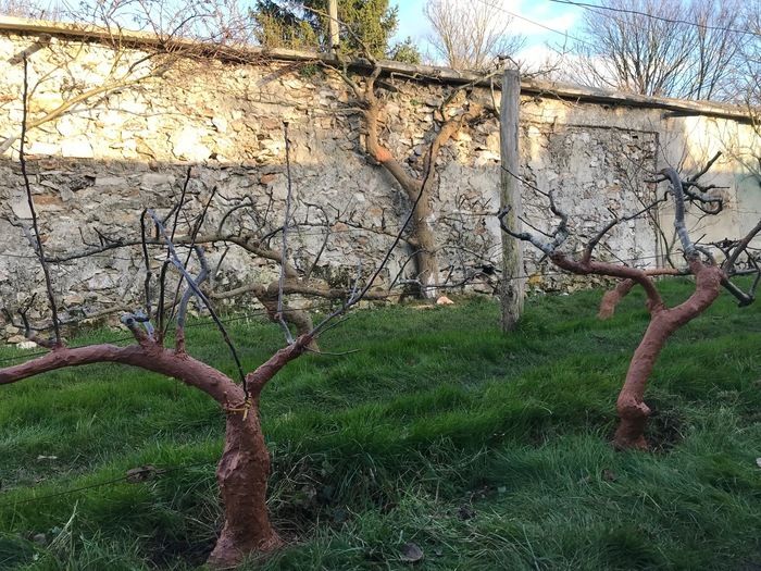 Ouvertures des parcelles. Déambulez dans les différents jardins, vous serez surpris par leurs diversités et beautés, souvent les jardiniers seront là pour échanger avec vous. Vous pourrez vous asseoi…