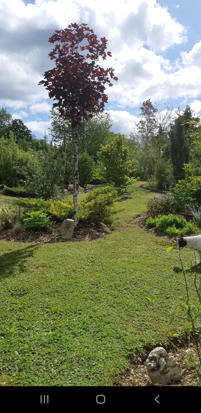 Le jardin d'Océanne a été créé en 2008. Collection d'arbres, d'arbustes et de plantes vivaces sur un terrain de 30 ares.