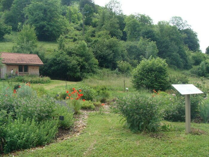 Anlässlich der Rendez-vous aux jardins 2024 laden wir Sie ein, die Heilpflanzengärten von Montgesoye zu besuchen. Kommen Sie und wecken Sie Ihre Sinne!