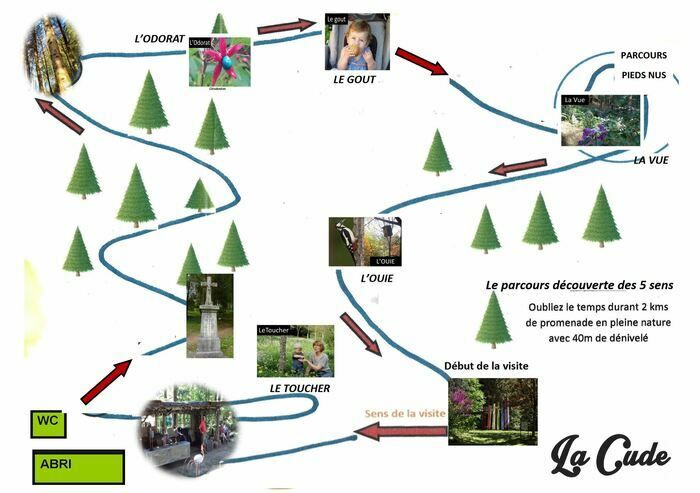 In diesem Jahr hat der englische Park La Cude auf das vom Kulturministerium gewählte Thema reagiert: «Die fünf Sinne im Garten».