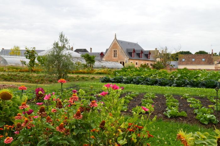 Der im 19\. Jahrhundert von den Gebrüdern Bühler angelegte Gemüsegarten ist ein kleines Paradies von 1300 m² umgeben von Mauern, in denen alte Rosen und Clematis wachsen. Entdecken Sie hier einen Obst