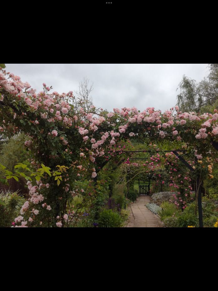 Nutzen Sie den Frühling, um diesen langen Garten zu entdecken und durch seine Gassen zu schlendern. Sie werden die Rosen, Iris und Pfingstrosen riechen, die dann in voller Blüte stehen. Ihr Spaziergan