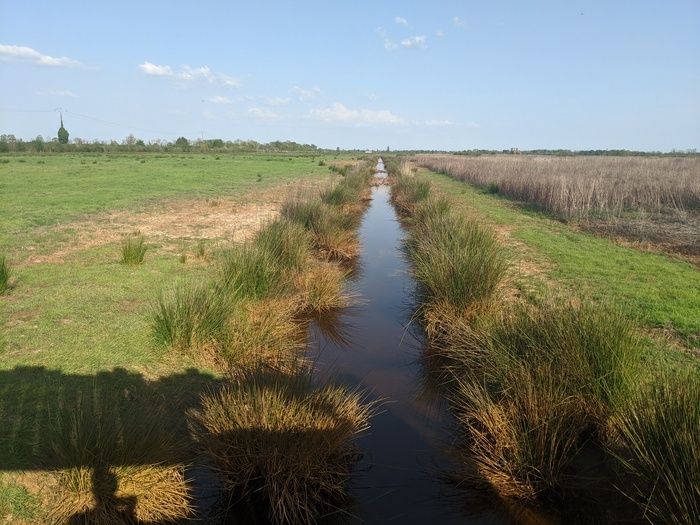 Balade naturaliste