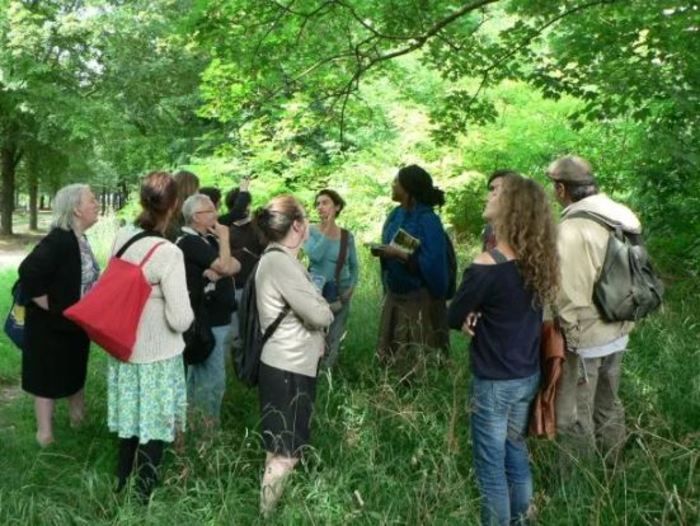 BALADE / Découverte des plantes sauvages urbaines