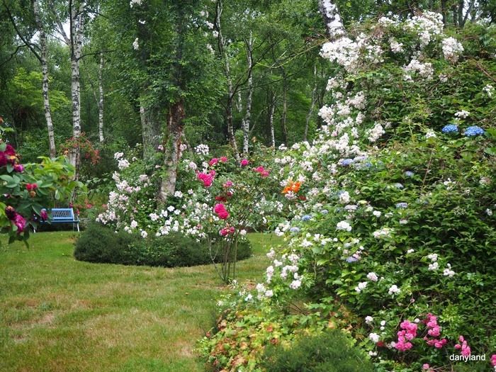 Bewundern Sie die Sammlung alter und englischer Rosen auf 800 m Länge, stehen Ihnen viele Bänke zur Verfügung und Dany der Gärtner berät Sie gerne über...