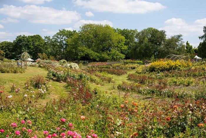 Alle im Garten, gehen Sie zum Rosengarten, um Animationen und unterhaltsame Workshops zum Thema Natur zu genießen. Entdeckung der Geheimnisse des Rosengartens, Verkostungen, Besichtigungen, Schnitzelj