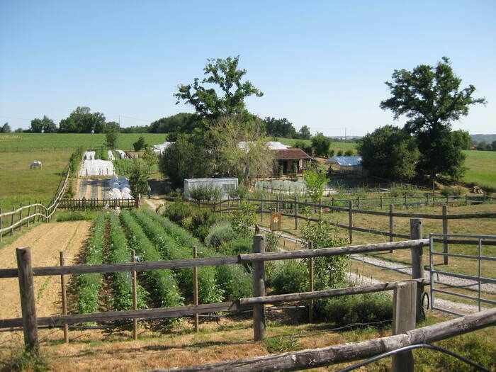 Nutzen Sie diese neue Ausgabe von Rendez-vous aux jardins, um unseren Garten in völliger Freiheit zu entdecken!