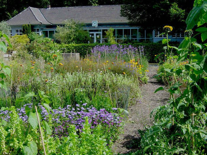 Workshop im im Botanischen Schulgarten Burg / Schulbiologiezentrum Hannover