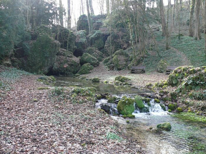 Der ganzjährig geöffnete Park Sourdon ist einer der wenigen englischen Gärten der Marne.